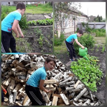 «Помощь родителям дома, во дворе, в огороде»