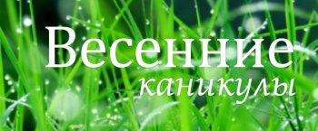 Весенние каникулы.