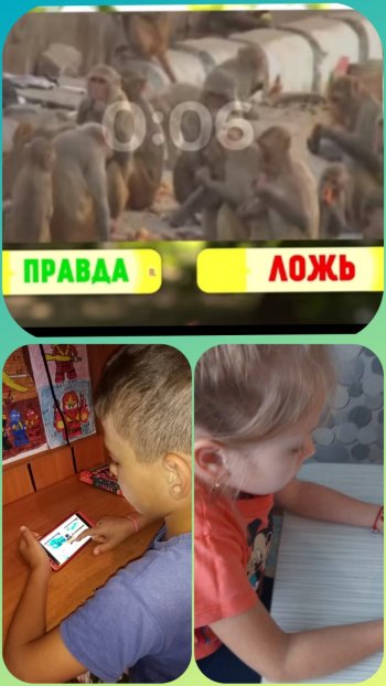 Познавательная игра «Правда или ложь».